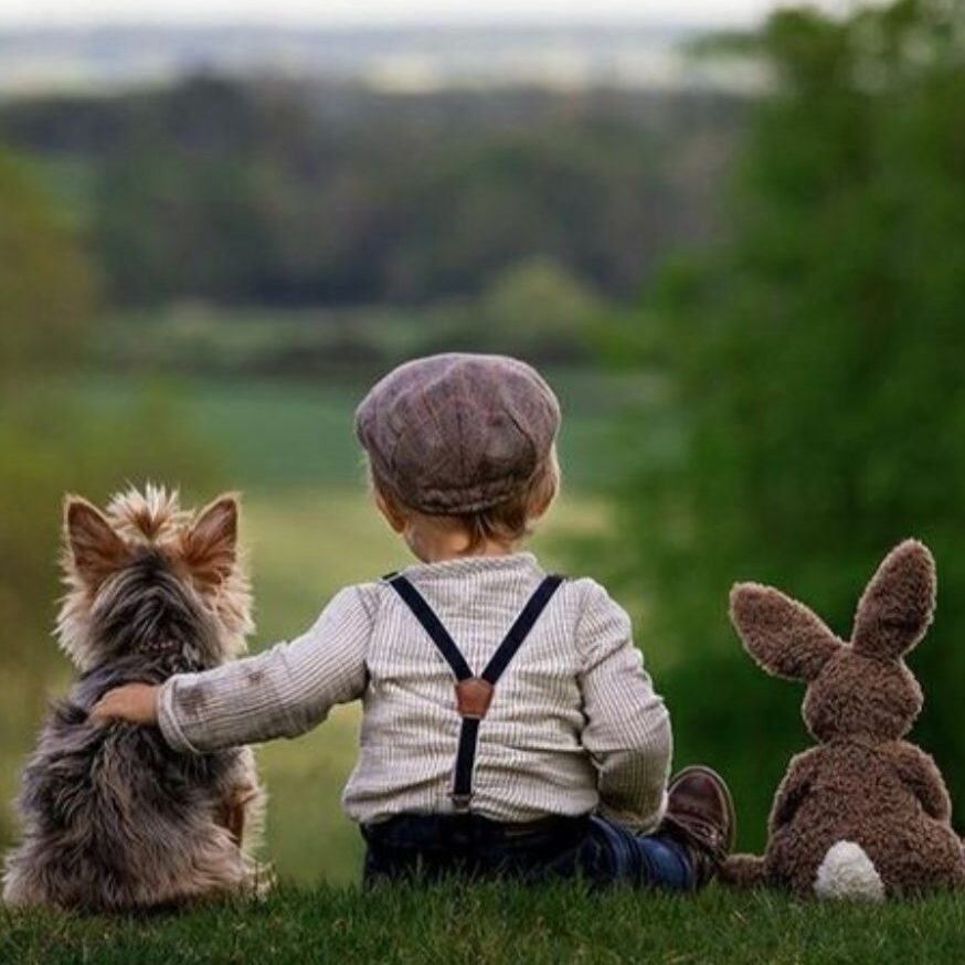 kiddo enjoying nature with his teddy and dog