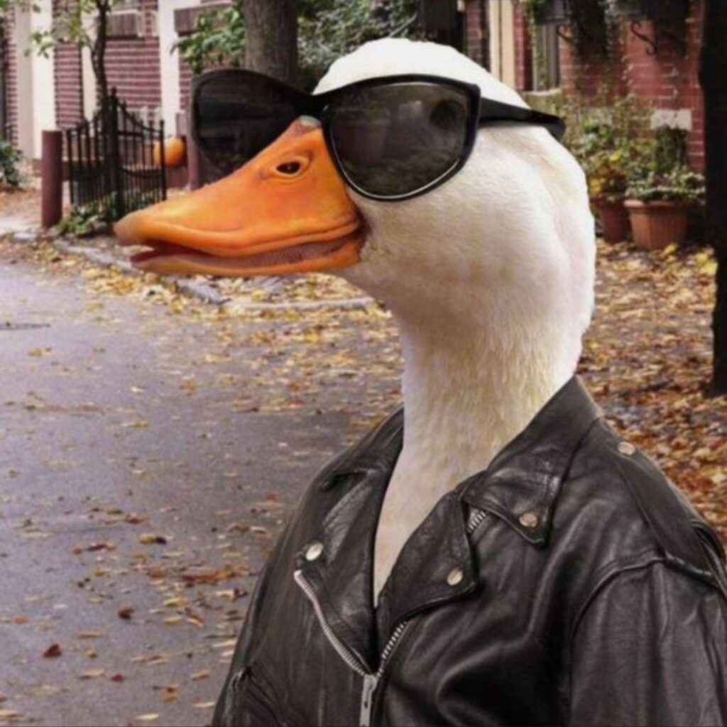 a white duck wearing a jacket and sunglasses looking really absurd